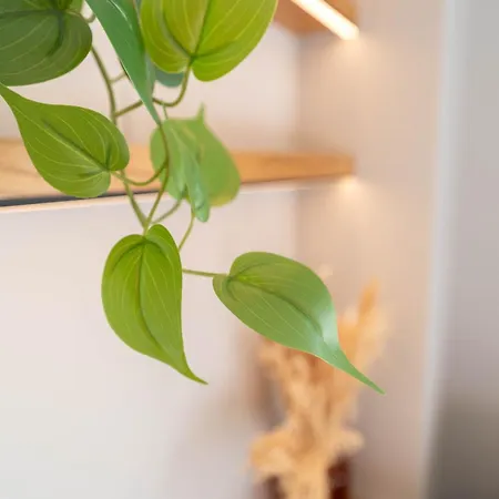 Old Town Diamond, Adorable Sunny With Ac * Nice